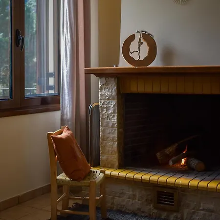 Appartement Artemis Mezonetes *